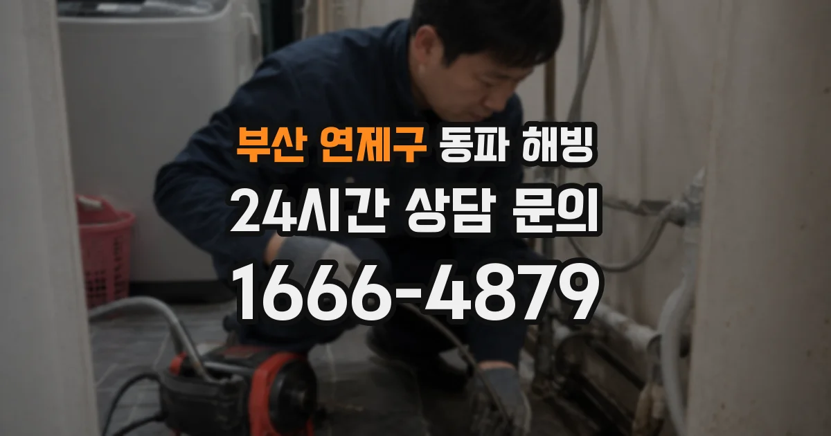 부산 연제구 동파 해빙