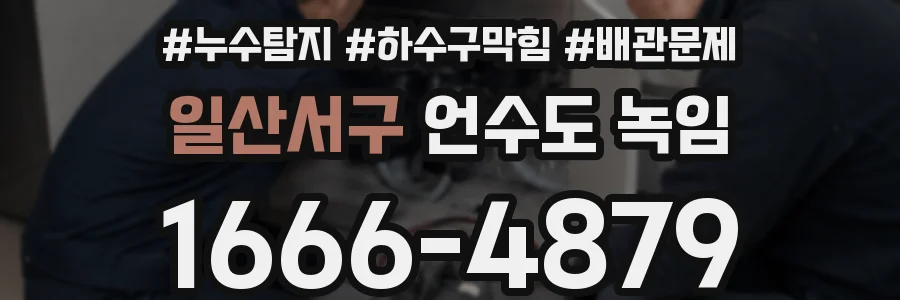 일산서구 언수도 녹임