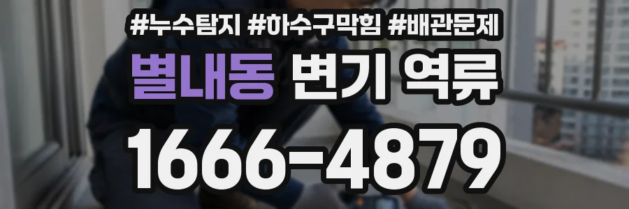 별내동 변기 역류