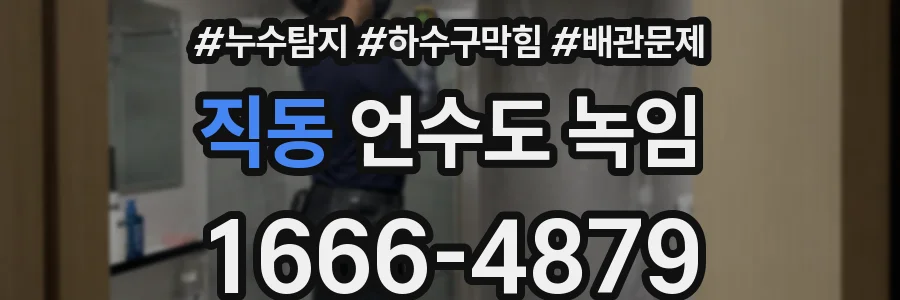 직동 언수도 녹임