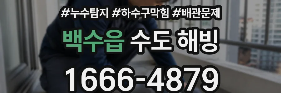 백수읍 수도 해빙