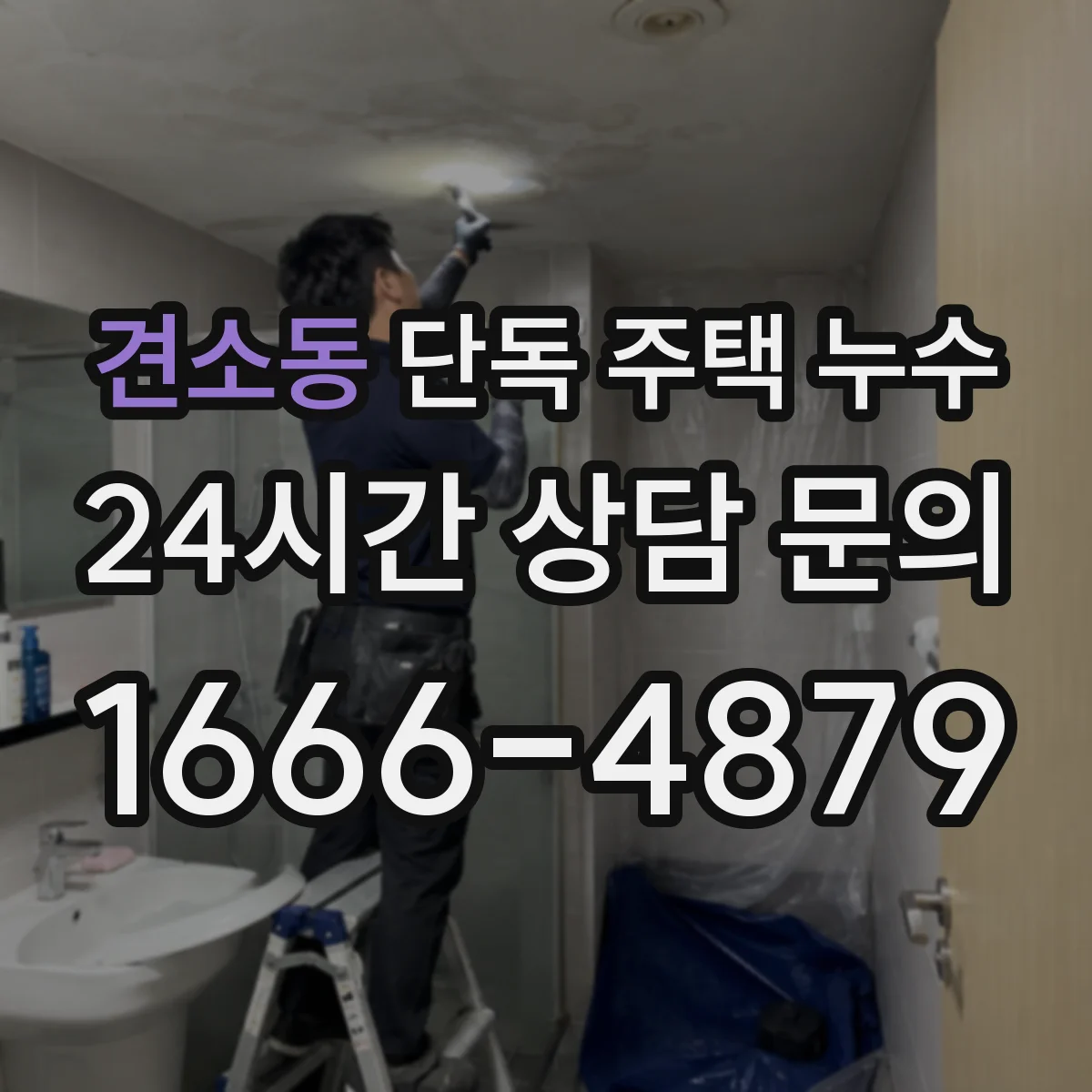 견소동 단독 주택 누수