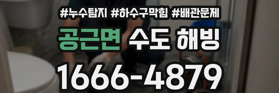 공근면 수도 해빙