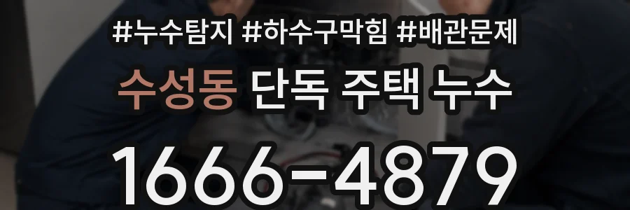 수성동 단독 주택 누수