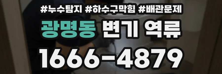 광명동 변기 역류