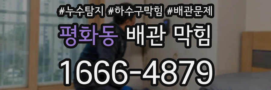 평화동 배관 막힘