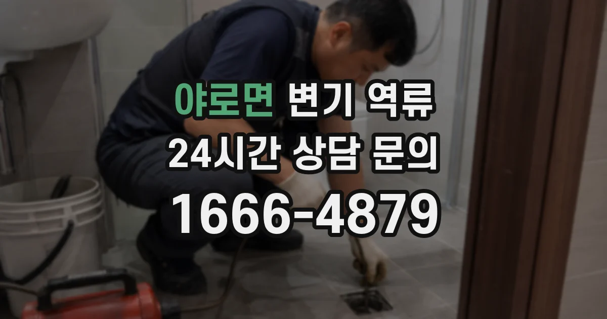 야로면 변기 역류