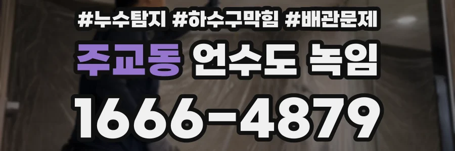 주교동 언수도 녹임