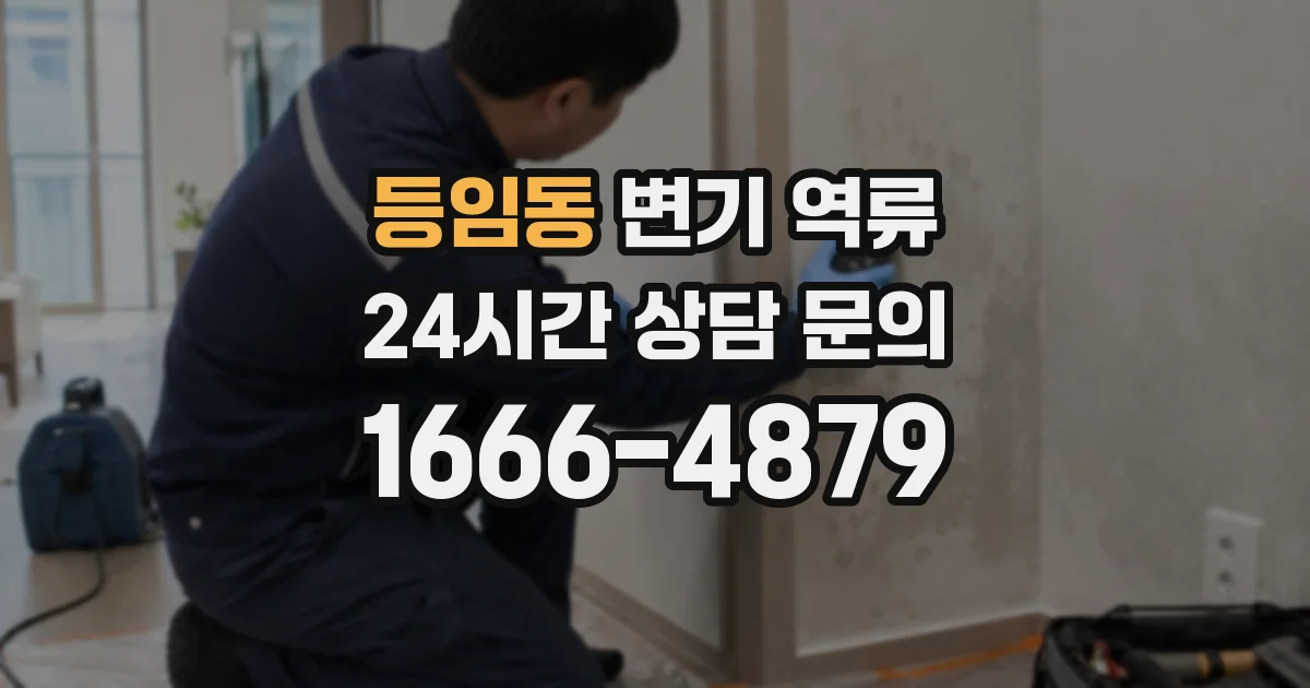 등임동 변기 역류
