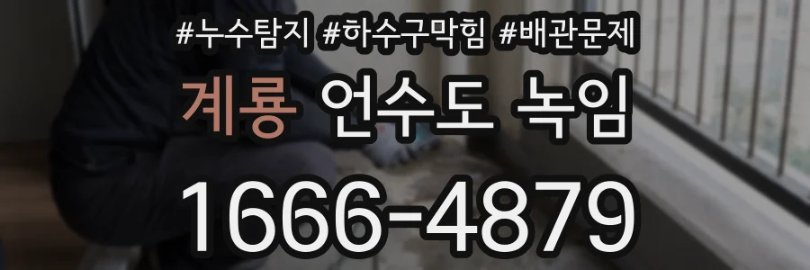 계룡 언수도 녹임