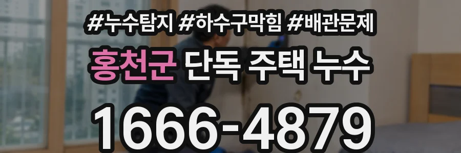 홍천군 단독 주택 누수