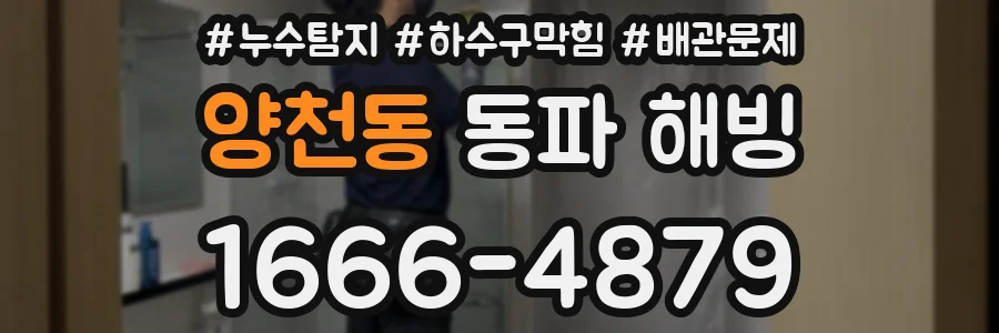 양천동 동파 해빙