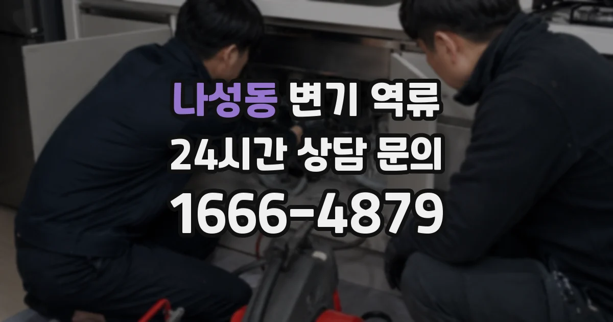 나성동 변기 역류