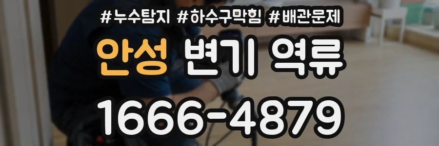 안성 변기 역류