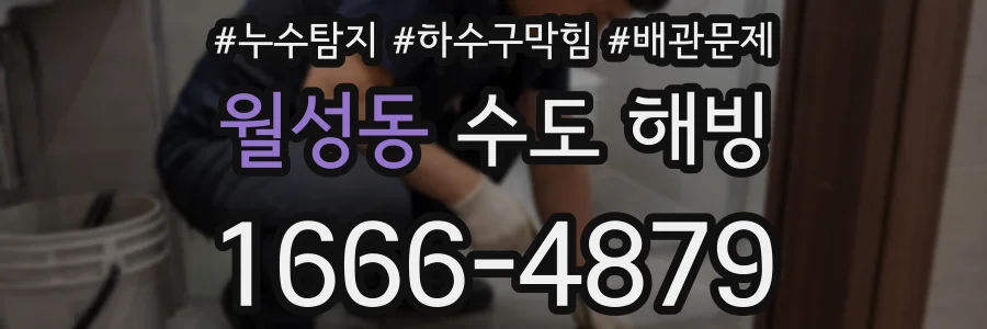 월성동 수도 해빙