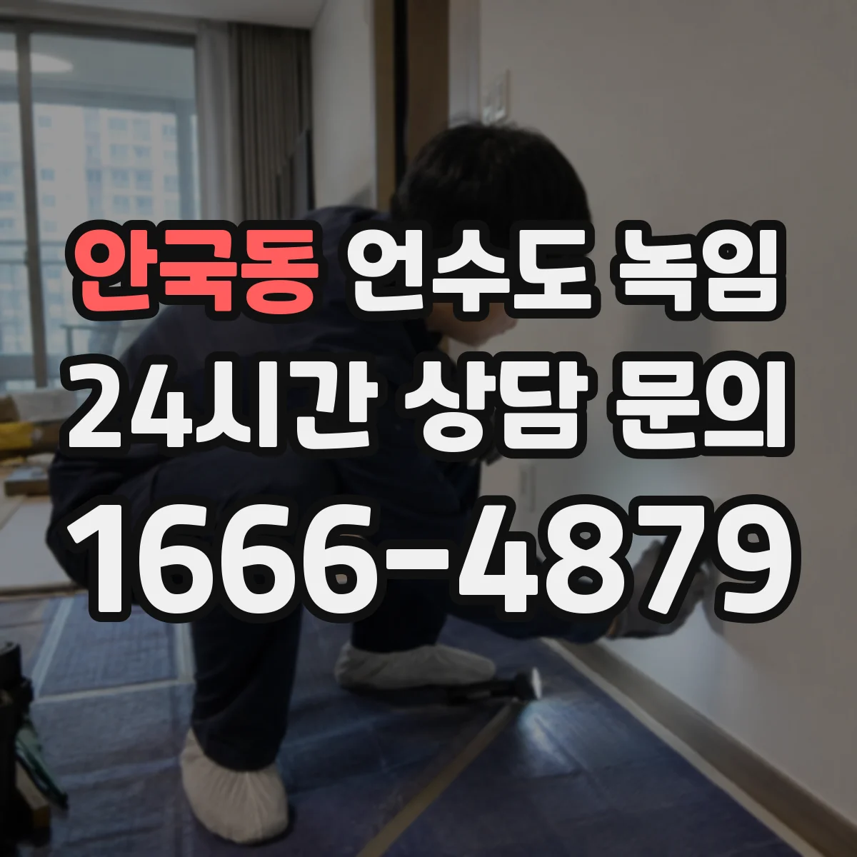 안국동 언수도 녹임