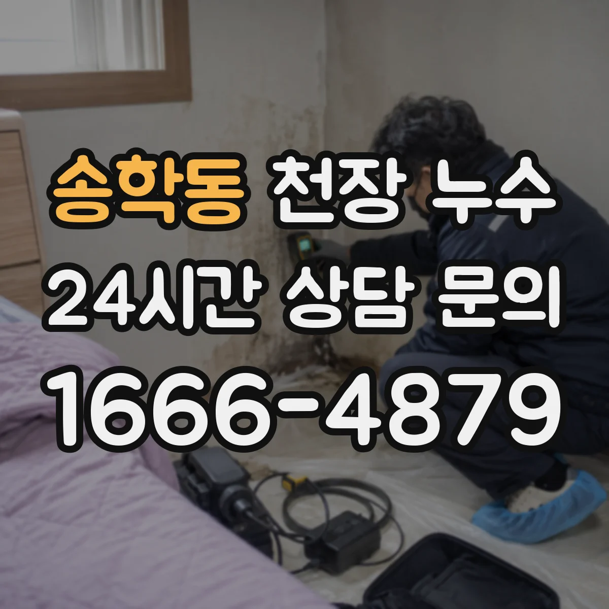 송학동 천장 누수