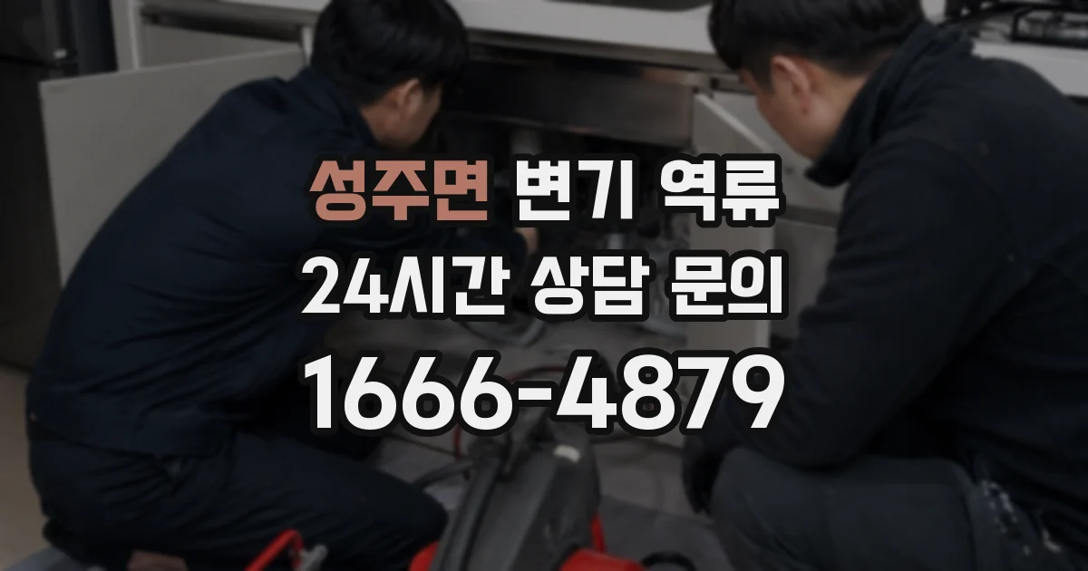 성주면 변기 역류