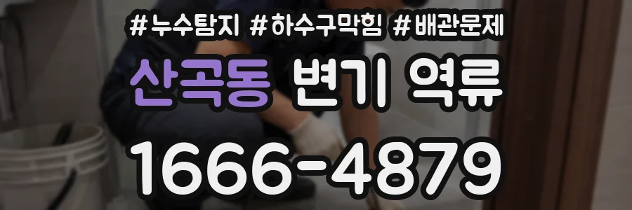 산곡동 변기 역류
