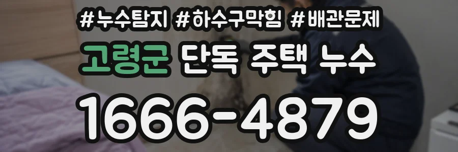 고령군 단독 주택 누수