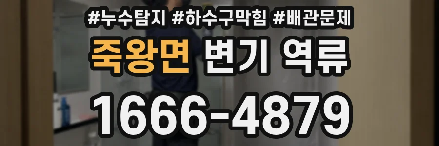 죽왕면 변기 역류