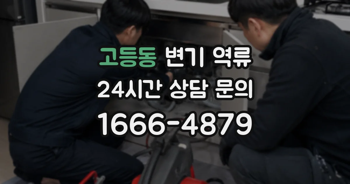 고등동 변기 역류