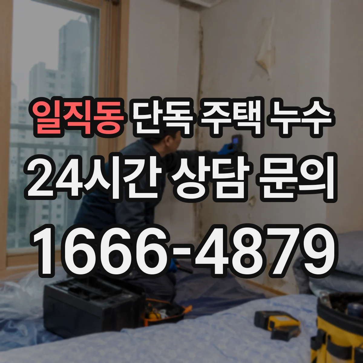일직동 단독 주택 누수