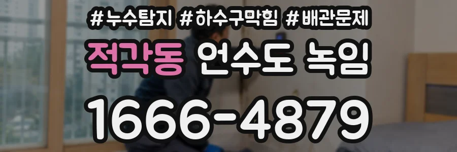 적각동 언수도 녹임