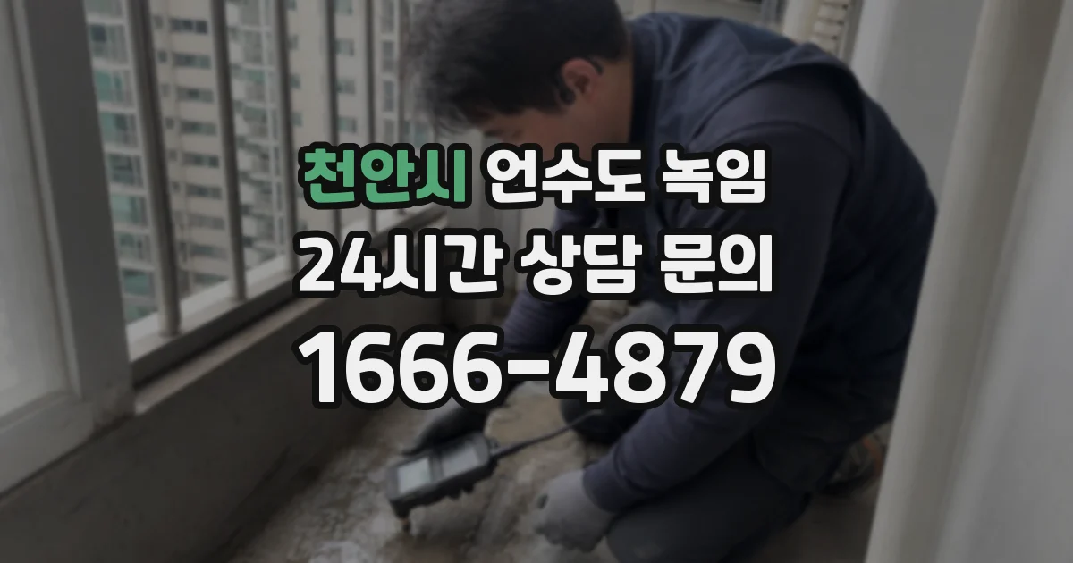 천안시 언수도 녹임