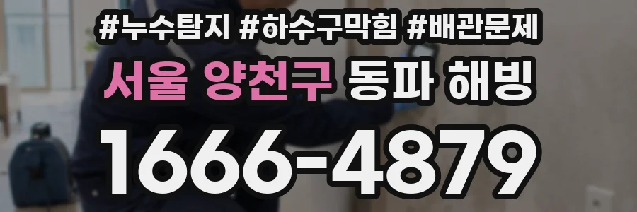 서울 양천구 동파 해빙