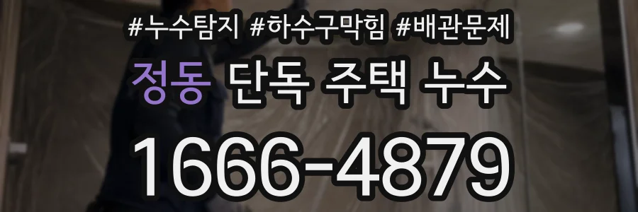 정동 단독 주택 누수