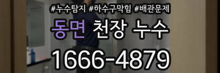 동면 천장 누수