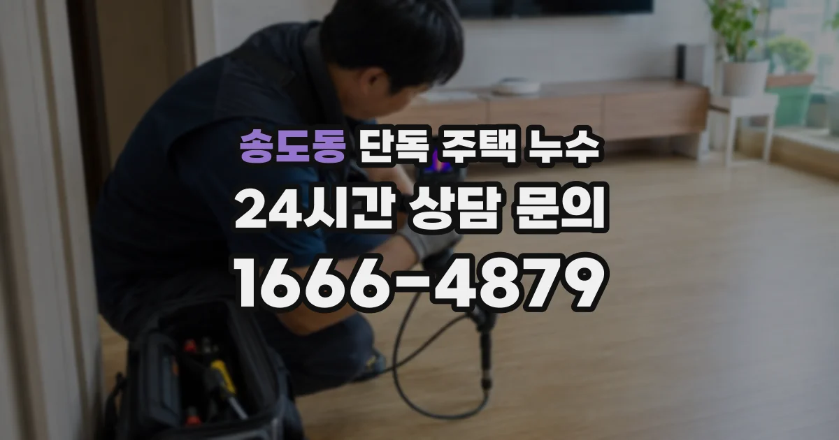 송도동 단독 주택 누수