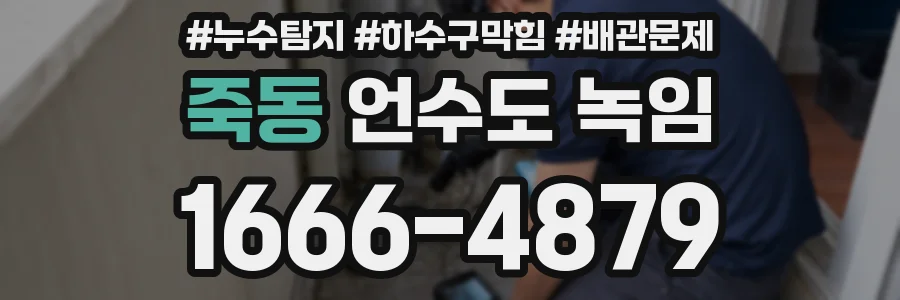 죽동 언수도 녹임