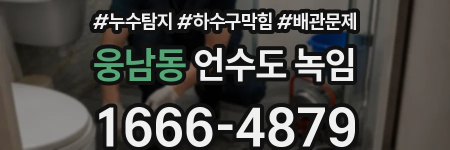 웅남동 언수도 녹임