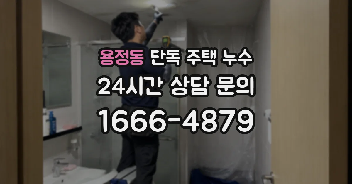 용정동 단독 주택 누수