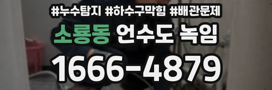 소룡동 언수도 녹임