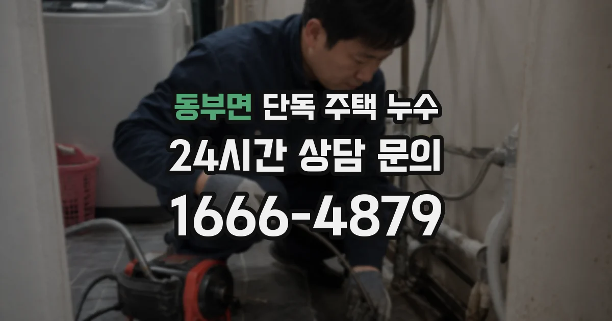동부면 단독 주택 누수