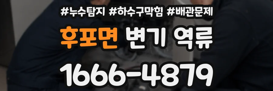 후포면 변기 역류