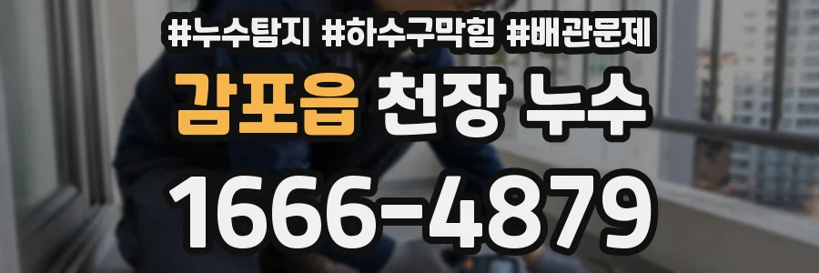 감포읍 천장 누수