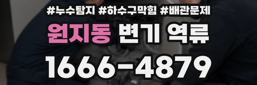 원지동 변기 역류