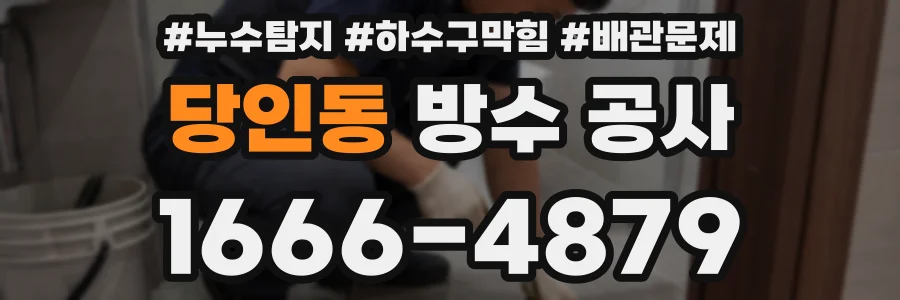 당인동 방수 공사