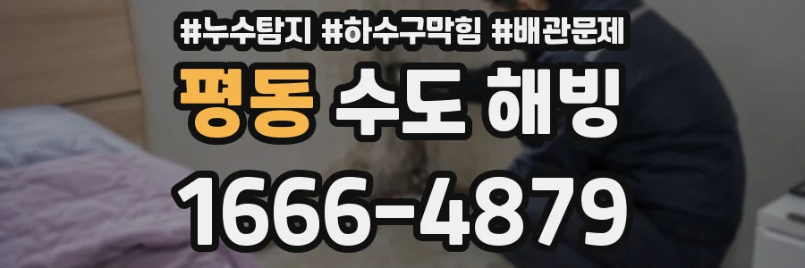 평동 수도 해빙