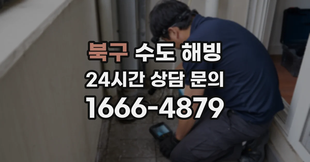 북구 수도 해빙