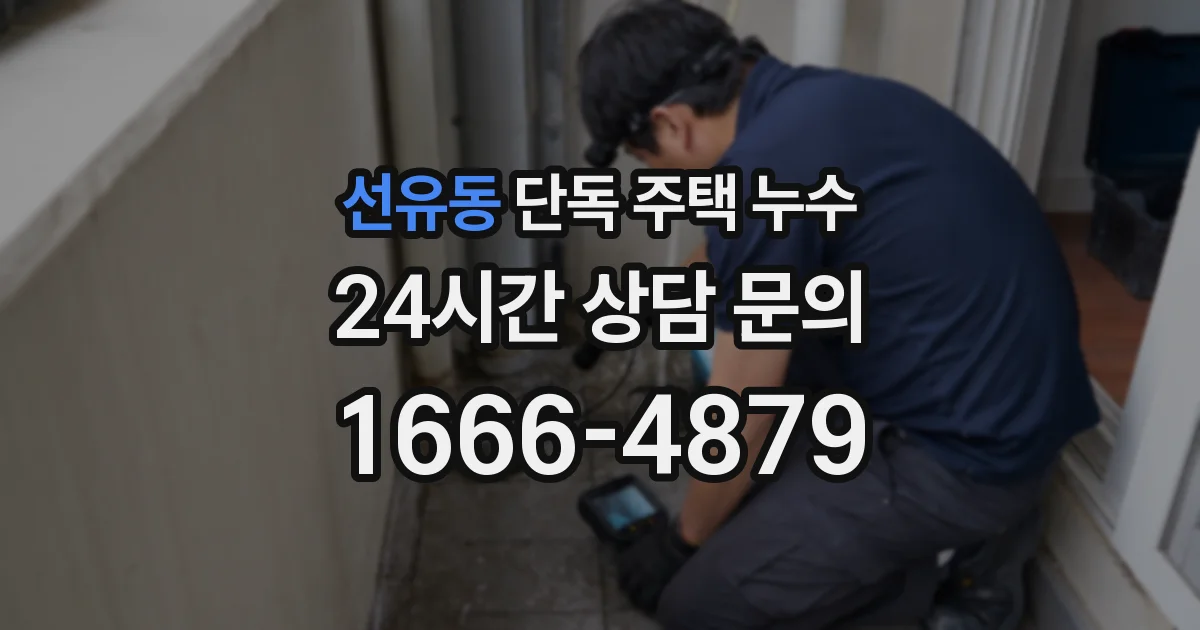 선유동 단독 주택 누수