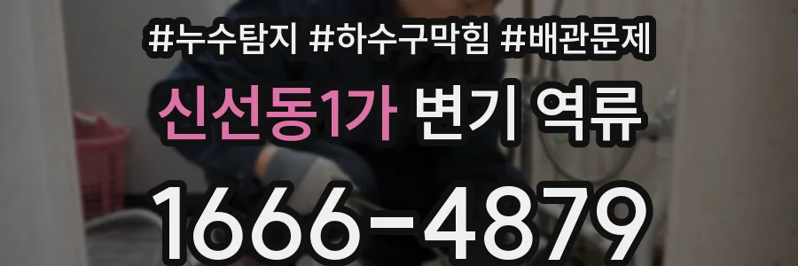 신선동1가 변기 역류