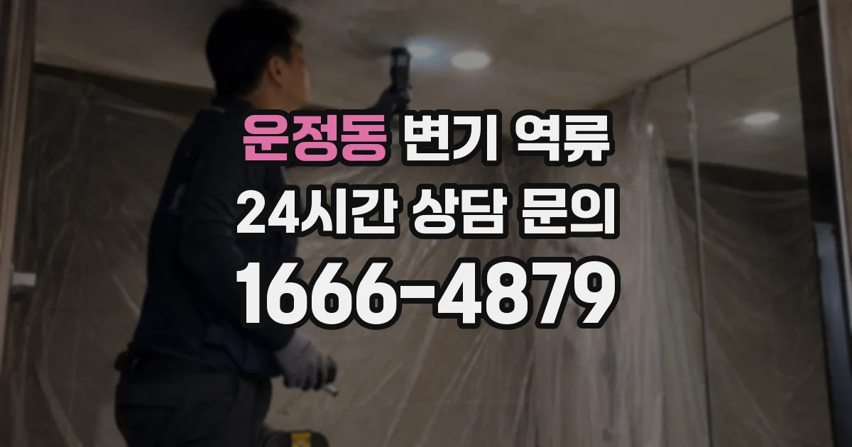 운정동 변기 역류