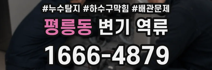 평릉동 변기 역류
