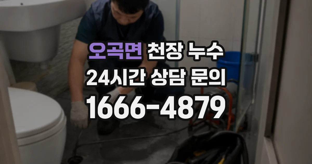 오곡면 천장 누수