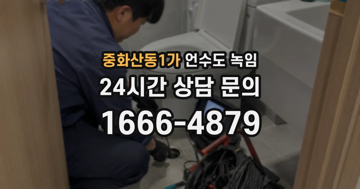 중화산동1가 언수도 녹임